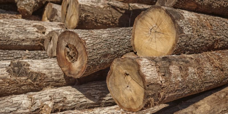 The New Standard: Oak, Elevated, and Built from the Ground Up